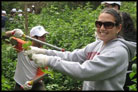 American Students Engage in Community Service While Israel Fights Latest War American Students Engage in Community Service While Israel Fights Latest War
