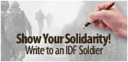 Show Solidarity